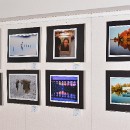 BEFO 2015 Ladenburg 18